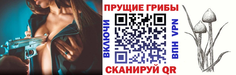 даркнет сайт  Шахты  Псилоцибиновые грибы Psilocybine cubensis 
